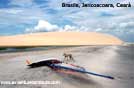Brasilei,spiaggia d Jericoacoara Cear�
